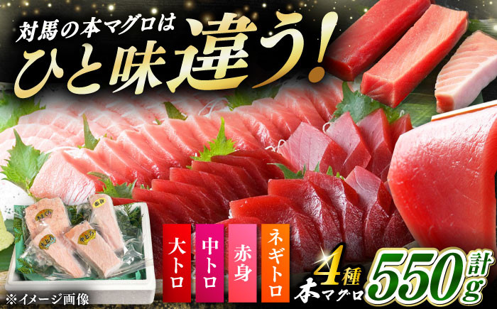 
            対馬産 本マグロ 4種 計550g（赤身/中トロ/大トロ/ネギトロ）《対馬市》【対海】[WAH003] マグロ まぐろ 鮪 本鮪 本マグロ 養殖 トロ 中トロ 中とろ 大トロ 大とろ 赤身 ねぎとろ ネギトロ たたき 刺身 冷凍 海鮮 魚 柵 お祝い 贈答
          