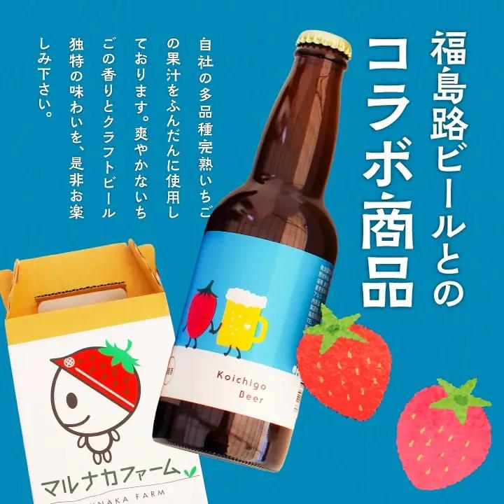 クラフトビール Koichigo Beer 330ml×6本セット | クラフトビール 地ビール【まるなかファーム株式会社】