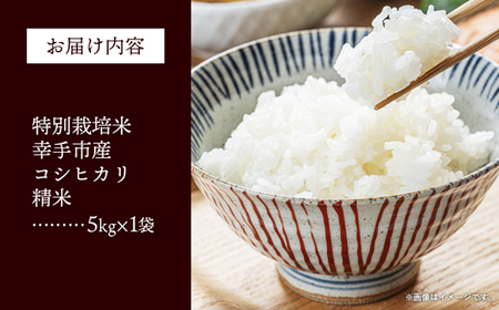 【令和7年産】無農薬・無化学肥料栽培 埼玉県幸手市産特別栽培コシヒカリ 「幸ヒカリ」精米5kg -  米 特別栽培米 幸手市産