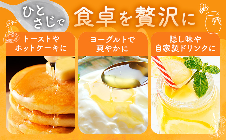 けんちゃんちの国産蜂蜜 300g×3本《30日以内に出荷予定(土日祝除く)》| ふるさと納税 はちみつ ハチミツ 蜂蜜 国産蜂蜜 天然蜜蜂 徳島県 佐那河内村 送料無料