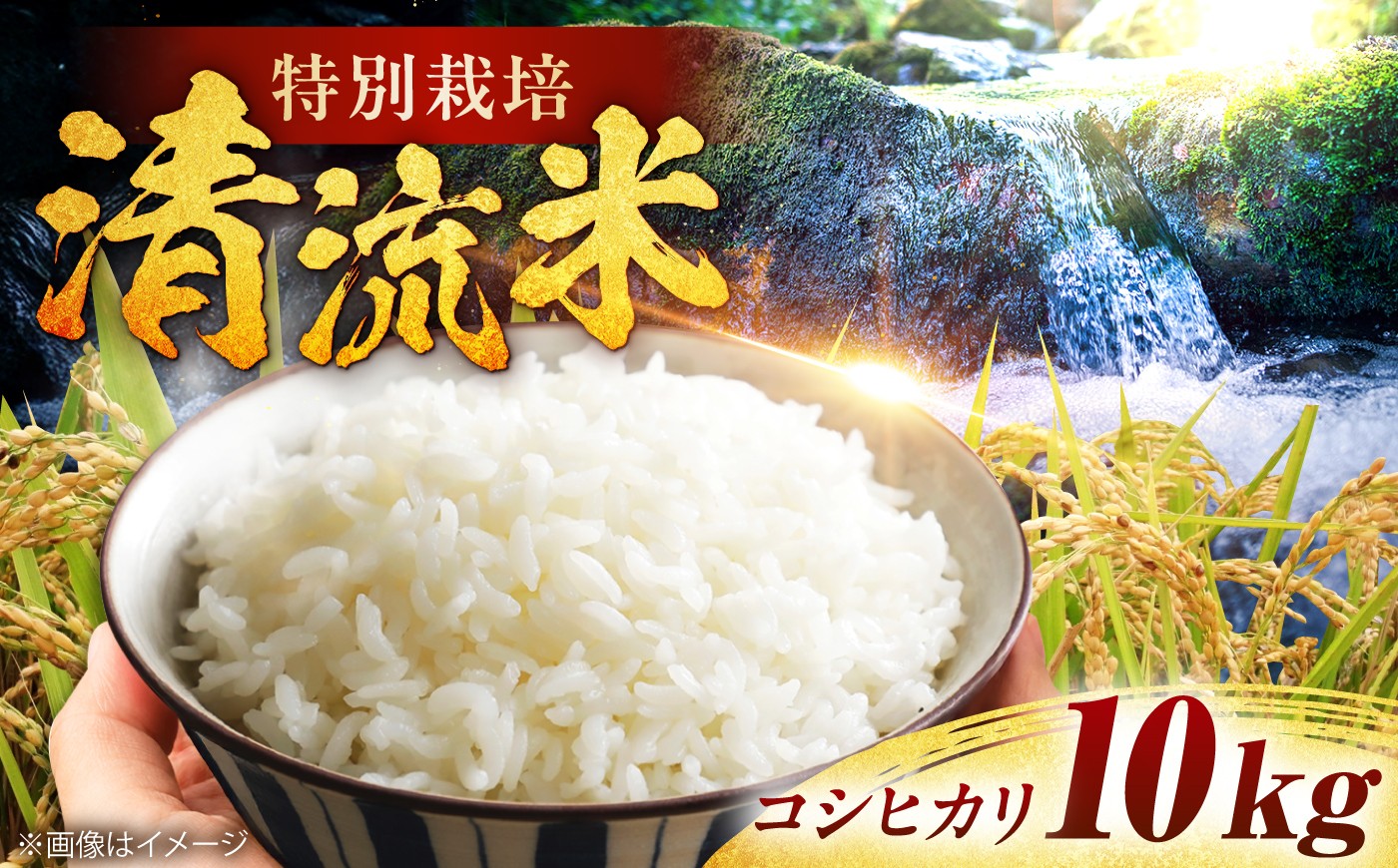 
                  白米 令和7年度産 栗東産 こんぜ清流米 コシヒカリ10kg / 米 お米 白米 kome コシヒカリ こしひかり 特別栽培米 近江米 ご飯 ごはん ゴハン コメ 令和7年産 ブランド米 滋賀県産 清流米 産地直送 農家直送 精米 美味しい おにぎり 主食 新米 穀物 日本食 炊飯 特産品 名産品 逸品 ギフト プレゼント / 栗東市 / レーク滋賀農業協同組合 [BIBV009]
                