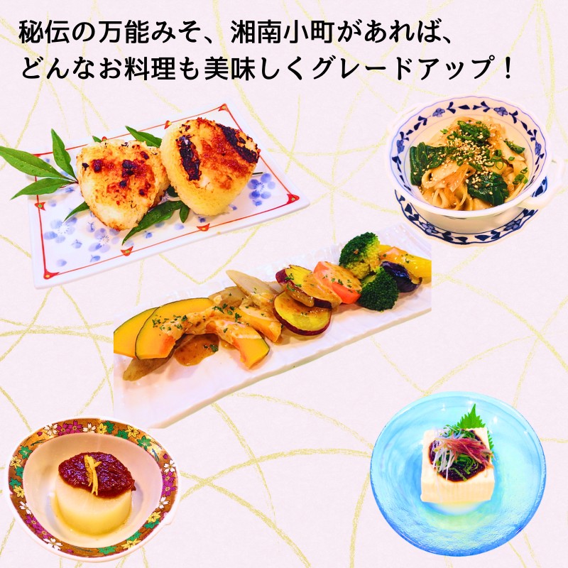湘南の味処 たか亭 秘伝の万能みそ調味料 湘南小町 ギフトセット「オリジナル」1本 「辛くち」1本「肉みそ」1本 神奈川 湘南 藤沢