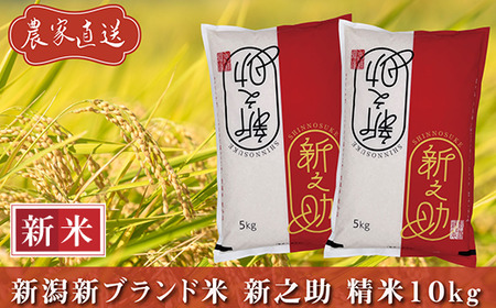 J8-7S101新潟県長岡産　新之助　10kg（5kg×2袋）