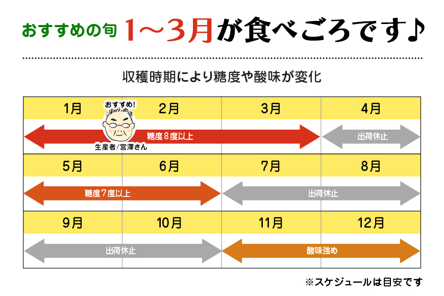 【数量限定 先行予約】＜2024年11月出荷開始予定＞ 爆音トマトと呼ばれるフルーツトマト「百里百」 2kg