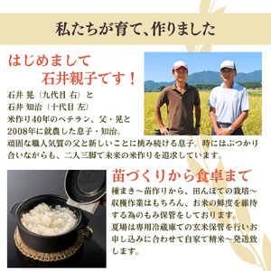 コシヒカリ 精米 10kg 弥彦村 石井農園 白米 | コシヒカリ 新潟県 令和7年産