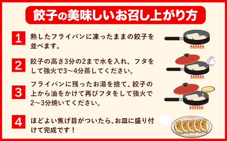 餃子 うまかポーク生餃子 30個 【3ヶ月定期便】タレ付き 大津町限定返礼品 冷凍餃子 ギョウザ《お申込み月の翌月から発送開始》大津町産豚肉使用 九州産キャベツ使用（大津町産含む）皮モチモチ 肉汁溢れ