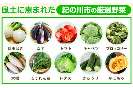 旬のフルーツ＆野菜セット3~5品