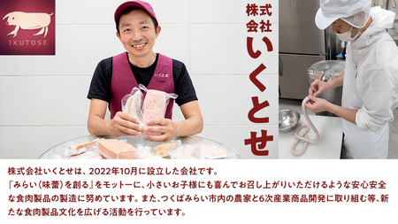 職人が作る ドイツソーセージ 2種ミックスセット （12本入×各1パック）計650g いくとせ ウインナー ハム 無添加 無塩せき 美味しい ソーセージ 国産 豚 機内食 ビジネスクラス ファーストク