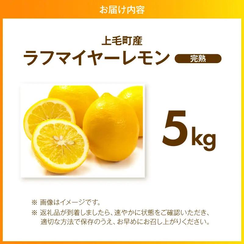 【先行受付】 上毛町産ラフマイヤーレモン 5kg （完熟レモン） _OF0808