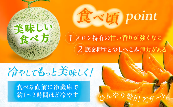 【7月下旬以降順次発送】 北海道十勝 あしょろ銀河メロン ルピアレッド 1.5kg×2玉（赤肉）《足寄町》【郊南ハウス組合】[BEAO001]