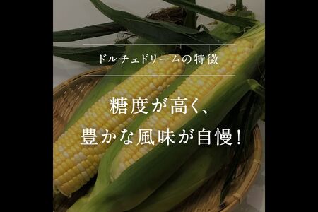 南部町産 朝採れスイートコーン5kg箱 食べくらべセット（バイカラー種・ホワイト種）2026年収穫分＜数量限定＞