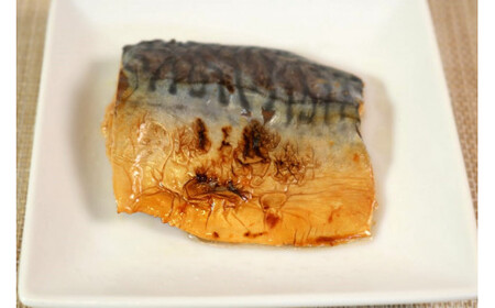 【訳あり】 おかずセット 10品 8～10種類 惣菜 レトルト レンジ 簡単調理 やわらか 魚 肉 和食 洋食 中華 鯖 さば サバ 鮭 さけ サケ ハンバーグ つくね 鰯 イワシ いわし 酢豚 八宝