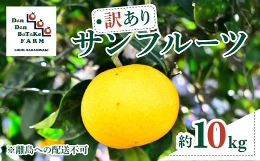 【訳あり】サンフルーツ 約10kg ※離島への配送不可 【 ふるさと納税 人気 おすすめ ランキング 柑橘 みかん サンフルーツ 10kg 果物 フルーツ 訳あり 果物 くだもの 旬 愛媛県産 愛媛みかん Dan Dan BaTaKe FARM 産地直送 愛媛県 伊方町 送料無料 】 IKTAU012