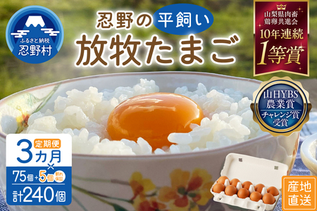 【3ヶ月定期便】忍野の平飼い放牧卵80個（75個＋割れ保証5個）