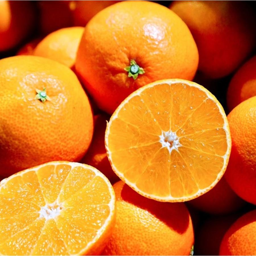 ＜宇和島青果＞紅まどんな　2.5kg