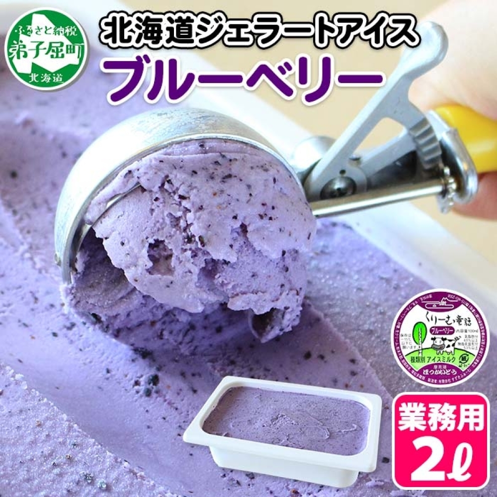604.アイスクリーム ブルーベリー ジェラート ベリー 業務用 2リットル 2L アイス 大容量  手作り 北海道 弟子屈町