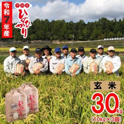 ふるさと納税 笠岡市 【令和7年産 先行受付】玄米  ひのひかり 笠岡産 30kg 太陽の恵み O-07_30k玄米