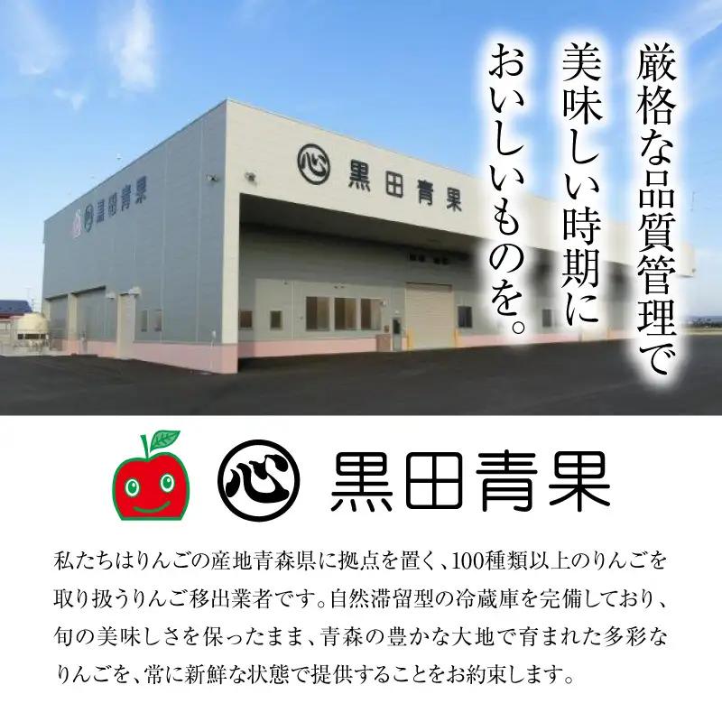 【10月後半以降順次発送】 りんご 約5kg 訳あり トキ | 黄色い りんご 青森県産