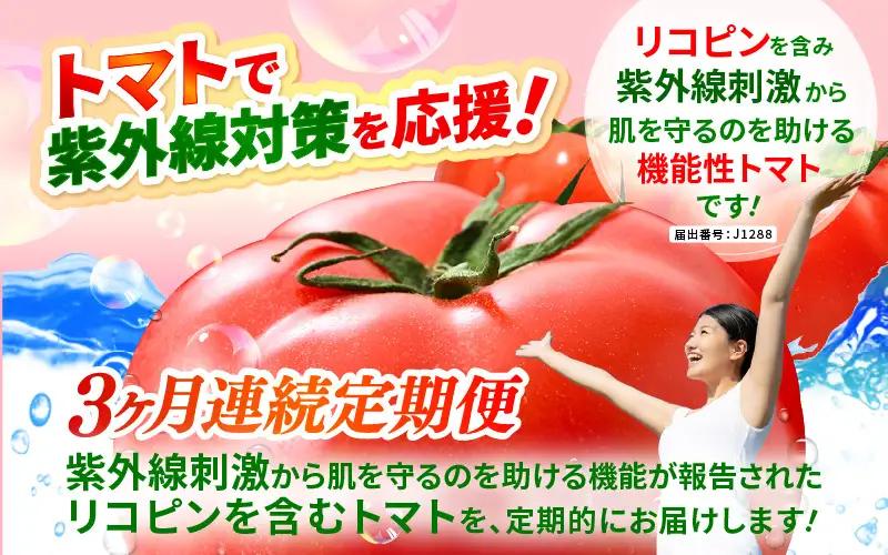 定期便 ≪3ヶ月連続お届け≫ リコピントマト習慣便 みつぼしトマト リコピン 約400g × 2袋 × 3回 (計2.4kg) とまと 機能性表示食品 [A-2616]