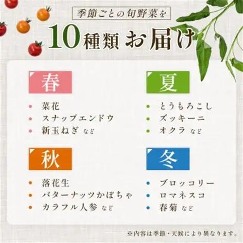 【毎月定期便】【上旬発送】こだわりの旬野菜BOX「リエビン」季節の野菜セット全6回【配送不可地域：離島・北海道】【4012342】
