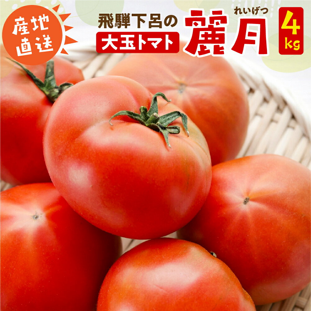 【ふるさと納税】先行予約　≪2025年7月中旬頃より順次発送≫　産地直送！飛騨トマト 麗月 4kg （大玉20玉） 下呂温泉 新鮮 とまと 夏野菜　4キロ 期間限定 トマト 9000円 岐阜県 下呂市