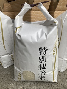 お米 令和7年産 新米 5kg コシヒカリ 特別栽培米  先行予約  【2025年10月以降発送】 精米 米 こめ コメ 白米 ごはん ライス 愛媛 伊予市｜C151