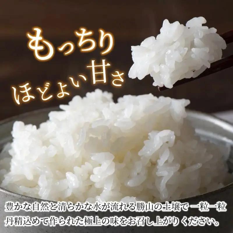 米 コシヒカリ 勝山産 ちゃまごん米 10kg×3回  定期便 [I-010022]