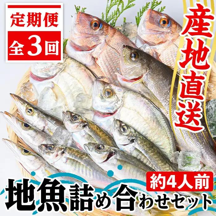 【3回定期便】鮮魚ボックス 鮮魚BOX 地魚 詰め合わせ 約4人分 産地直送【マルケイ水産】C09002