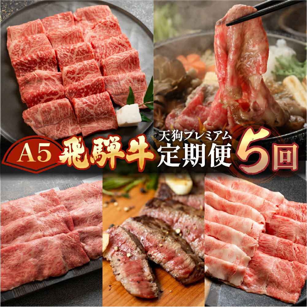 【ふるさと納税】 A5 飛騨牛 天狗 定期便 5回 牛肉 (ステーキ / すき焼き / 焼肉 / モモ/バラ/イチボ ランプ /カルビ ) お楽しみ 肉 定期便 下呂温泉 おすすめ 赤身 霜降り 希少部位 もも 肩ロース 食べ比べ 高級牛肉 焼き肉 しゃぶしゃぶ 100,000円 10万円