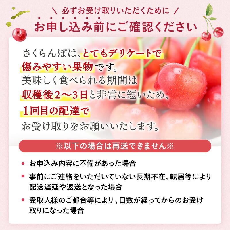 ＼朝採れ 産地直送／ R8年度産 佐藤錦 秀L 1kg 市場価値の高い 三関産 さくらんぼ こだわりの【常温】でお届け 訳あり フルーツ 果物 お取り寄せ 秋田 湯沢市 期間限定 サクランボ 数量限定