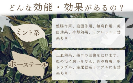 森のハーブティーセット(3点合計39g)　1ヶ月に1回のお届け　計6回 [a135-003] 【定期便】1ヶ月に1回 計6回のお届け
