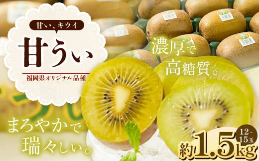 A199 福岡県産 ブランドキウイ・甘うぃ 約1.5kg(12～15玉) 【2024年10月上旬～12月上旬発送予定】 キウイ 果物 くだもの フルーツ