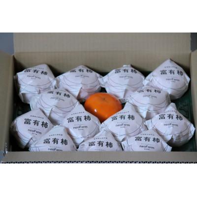 ふるさと納税 大野町 岐阜県大野町産　富有柿　L　14個入り |  | 01