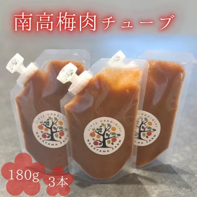 ふるさと納税 田辺市 南高梅肉チューブ 180g×3【nak046】