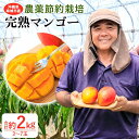 【ふるさと納税】【2024年発送】沖縄県南城市産「完熟マンゴー」約2kg（3～7玉）◆ギフト／家庭用◆ 農家直送 農薬節約栽培 | 沖縄 アップル 贈答 人気 お取り寄せ プレゼント 3玉 おすすめ 7月 数量限定