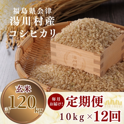 
                  ＜毎月定期便＞湯川村産コシヒカリ 玄米10kg(R8.10月-12月・R9.1月-9月)全12回【4091539】
                