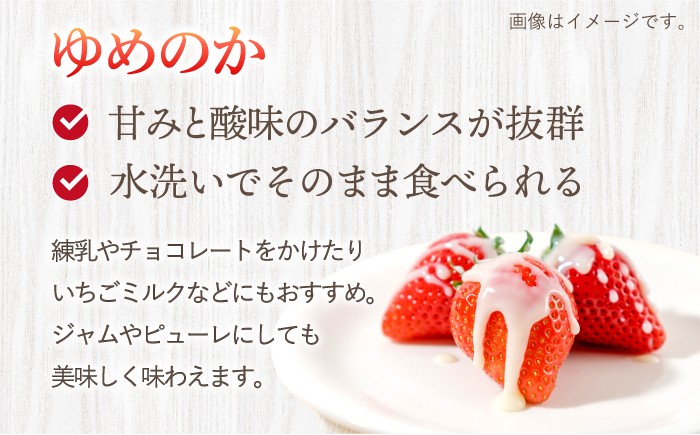 訳あり いちご 1kg