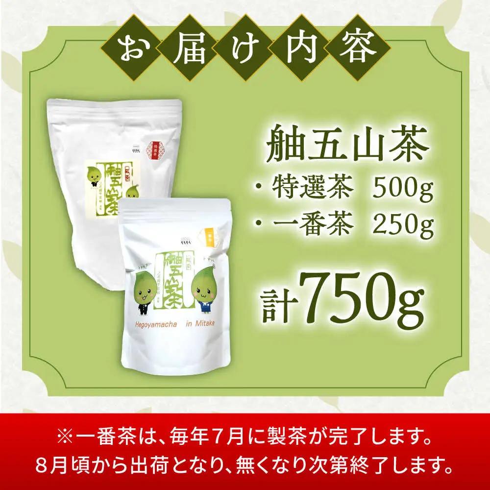 舳五山茶　特撰茶・一番茶セット 計750g / 茶 ちゃ お茶 おちゃ 緑茶 りょくちゃ 日本茶 茶葉 / 御嵩町 / 舳五山茶園委員会[AVAD002]