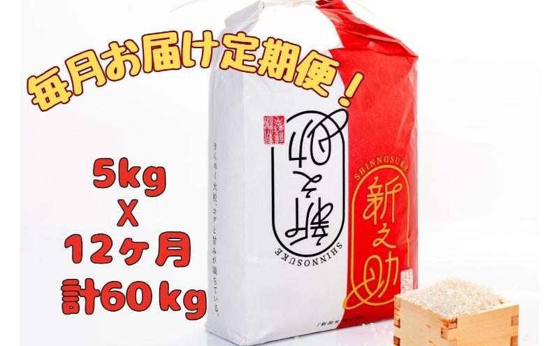 【通年受付】令和8年産魚沼産新之助　精米5kg　全12回 十日町市 十日町 米