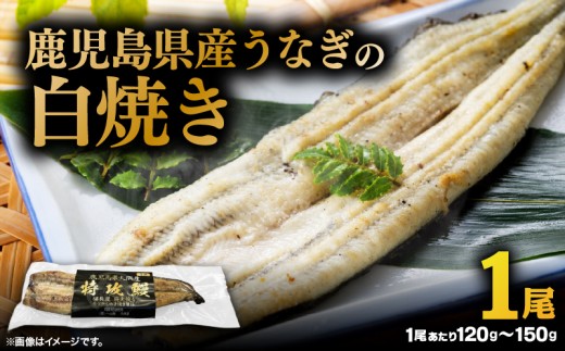 【土用の丑の日特集】鹿児島県産うなぎの白焼き 1尾　KN174-002-01