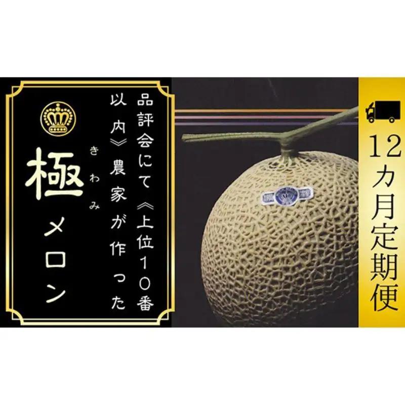メロン 12ヶ月 定期便 クラウン 極 1玉 箱入り メロン