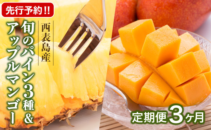 定期便3ヶ月4回 熟鮮スナックパイン 熟鮮ピーチパイン 熟鮮サンドルチェ(R) 3種の旬のパインと アップルマンゴーセット 2026年 先行予約 産地直送 沖縄 西表島