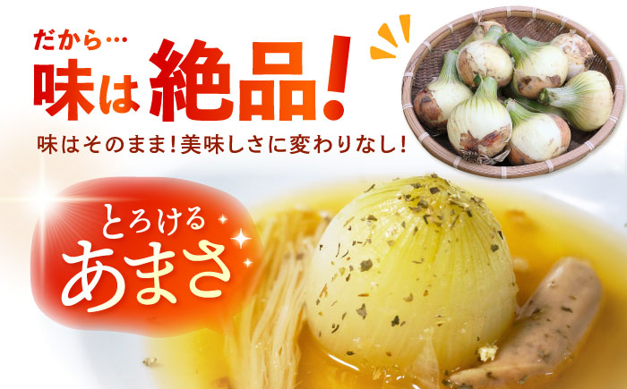 訳あり 新玉ねぎ 10kg  【あかるい農園 ミッチ―】 不揃い たまねぎ [HDF001]