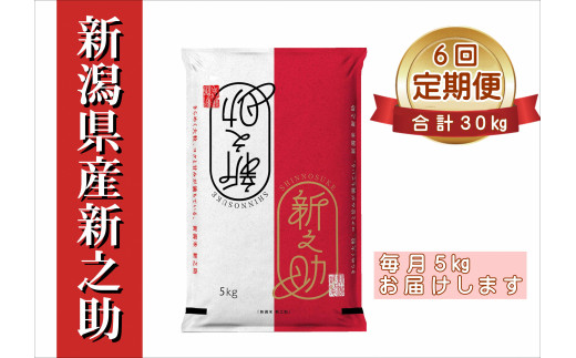 【令和7年産新米】【6ヶ月定期便】 新之助 5kg×6回 計30kg 白米 精米 井上米穀店 1I20109