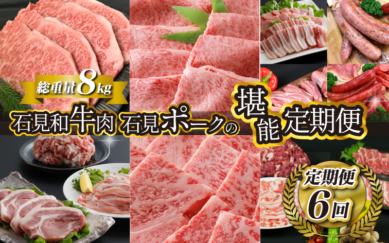 「定期便 全6回」邑南自慢 石見和牛肉・石見ポーク 堪能定期便 総重量8kg