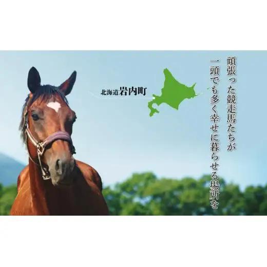ホーストラスト北海道支援 100万円コース 引退馬 F21H-561