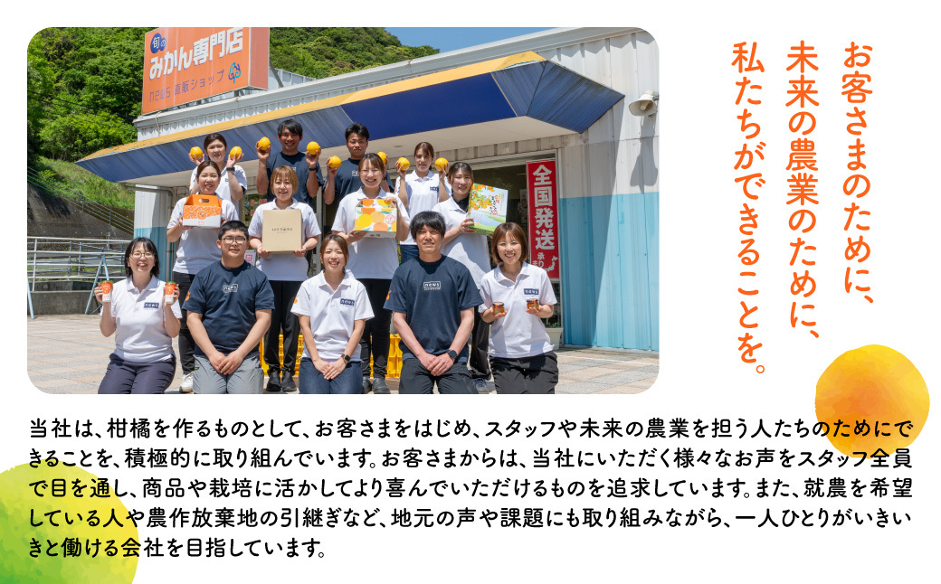 【先行予約】産地直送！愛媛県産温州みかん 7kg（2026年11月上旬より順次発送）  IKTF023