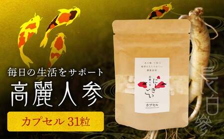 高麗人参(カプセル0.5ｇ×31粒) _U128-0019