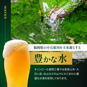 キリン ビール ハートランドビール 500ml 中瓶 12本箱入
