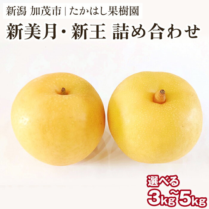 【ふるさと納税】 【2025年先行予約】たかはし果樹園 謹製 和梨 新美月 新王 2品種詰め合わせ 選べる「3kg」or「5kg」新潟県産《9月下旬以降配送》果物 フルーツギフト 秋の味覚 産地直送 加茂市 たかはし果樹園